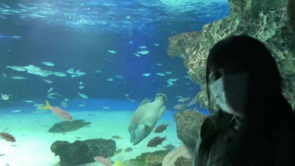 0002344_Japanese_Censored_MGS_19min - upornia.com - Japan on freevids.org