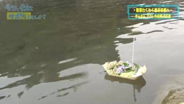 0003597_Japanese_Censored_MGS_19min - txxx.com - Japan on freevids.org