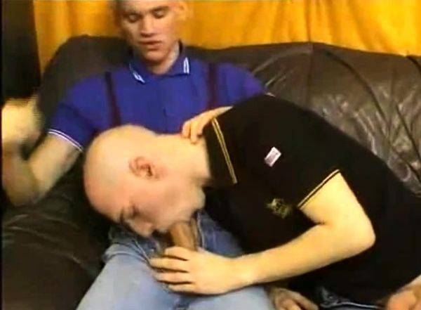 Skinhead Brotherhood - drtuber.com on freevids.org