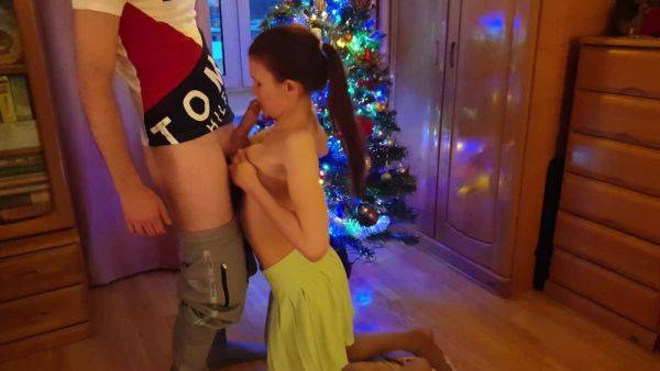 Holiday Blowjob Under The Christmas Tree - hclips.com on freevids.org