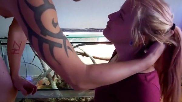 Perfect Girl - videomanysex.com on freevids.org