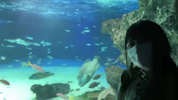 0002345_Japanese_Censored_MGS_19min - hclips.com on freevids.org