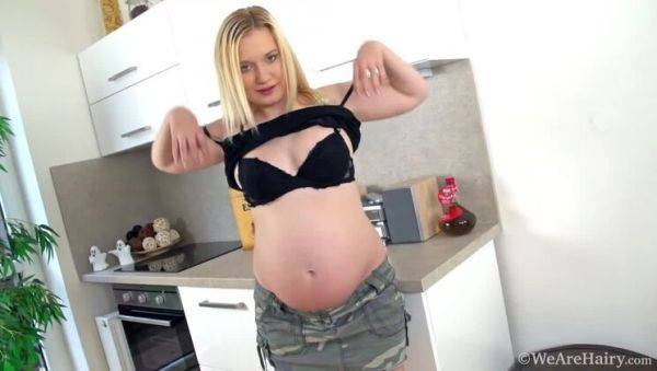 Jessica Hard's X-Rated Kitchen Striptease, Pregnancy Exposed - porntry.com on freevids.org