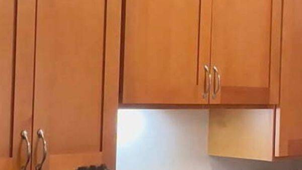 She Got Punished with My Big Black Cock - xxxfiles.com on freevids.org