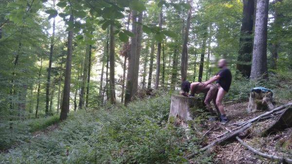 Best Porn Movie Outdoor Craziest - desi-porntube.com on freevids.org