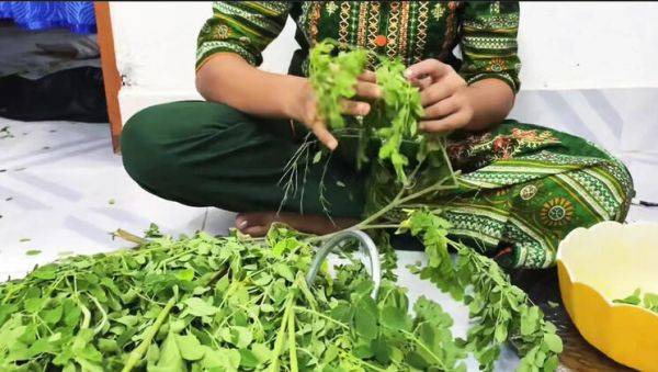 Desi Bhabhi Riya Chowdhury Romantic Hardcore Fuck with Kaleonjoybd - Blowjob, Cowgirl, Doggy Style in HD - veryfreeporn.com - India - Japan on freevids.org