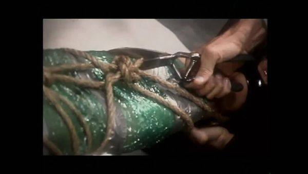 Evan Stone and Kylie Ireland in Vintage Art of Blowjob and Anal HD Video - veryfreeporn.com - Ireland on freevids.org