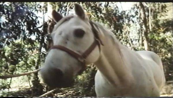 Desiree Cousteau Golden Age MILF Big Tits Hardcore Cumshot Orgasm HD - porntry.com - Britain on freevids.org