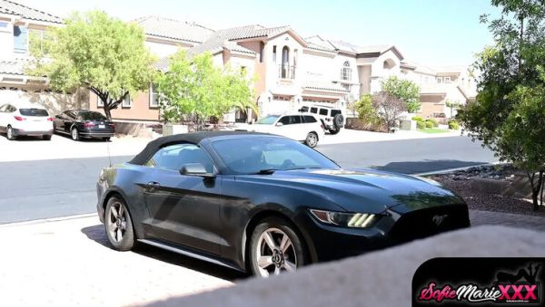 Sofie Marie Cheating Wife Teased and Takes BBC from Solo The Bull - xxxfiles.com - Britain on freevids.org