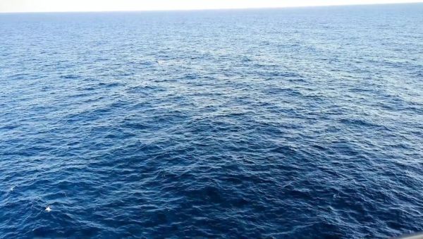 Amateur Hot Wife Solo Masturbation Orgasm on Cruise Ship - Cuckold Husband Locked in Chastity Cage Watches - xxxfiles.com - Usa on freevids.org