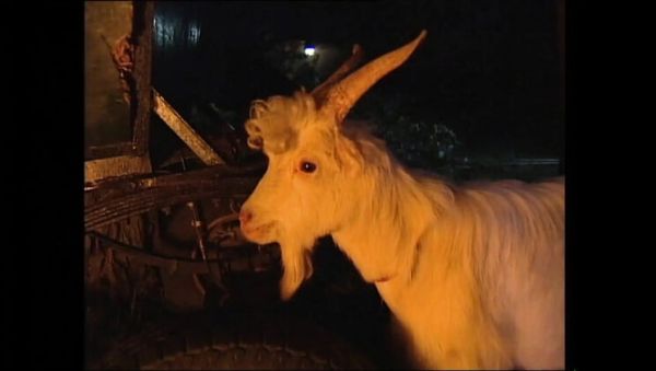 Naked Woman On Fire Vol.4 Full Movie - Claudia Jamsson, Karli Sweet, Backey Jakic Anal, Big Tits, Blowjob, HD Vintage - xxxfiles.com on freevids.org