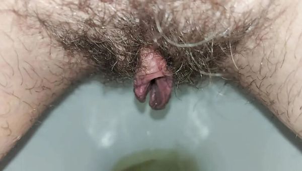 Hairy Housewife GinnaGg Pissing Close Up Toilet Pee Play - veryfreeporn.com - Russia on freevids.org