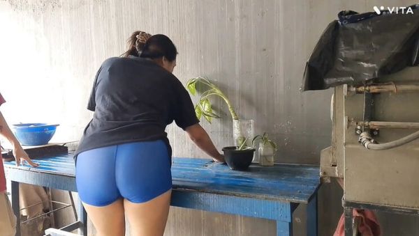 Homemade Latina Maid Blowjob and Creampie - Cheating Housewife Fuck in POV - xxxfiles.com - Spain - Bolivia on freevids.org