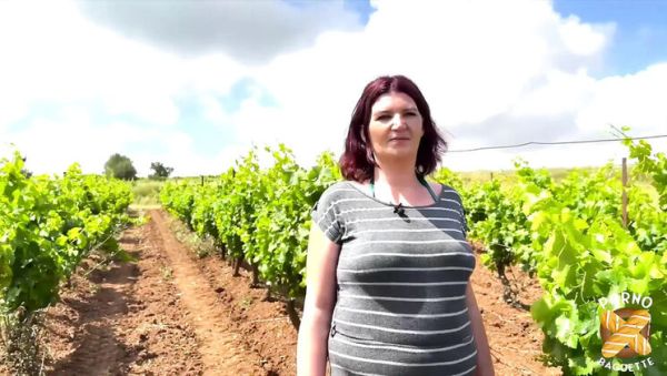 Leila the Hot Brunette MILF Gets Banged Hard in a Steamy Threesome Casting - veryfreeporn.com on freevids.org