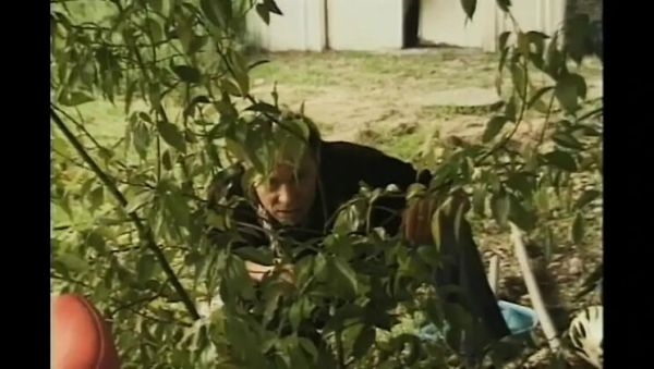 Skylar Paige Big Tits Mature Blowjob Love Dance with Big Cock Partner - xxxfiles.com - Britain on freevids.org