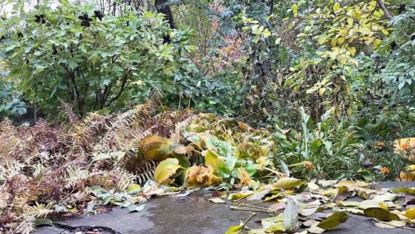 Mature Ukrainian MILF Pissing Doggystyle Outdoor - Hot Amateur Public Pee - porntry.com - Ukraine on freevids.org