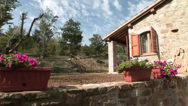 Renata Black & Franco Trentalance in Amore e Psiche 2 - Episode 5: Blowjob, Facial, and Big Cock Action - veryfreeporn.com on freevids.org