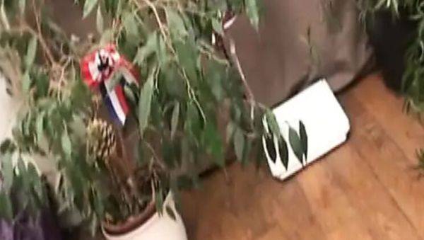 Sexy French MILF Love Crystale Gets Hardcore Anal Fuck by Young Stud - xxxfiles.com - France on freevids.org