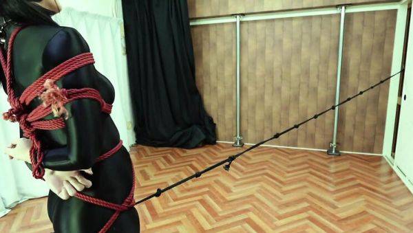 Japanese MILF in Twin Tails Tied Up & Dominated - Rough BDSM Shibari Fuck - xxxfiles.com - Japan on freevids.org
