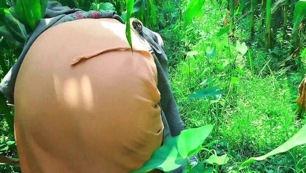 Deshi Bhabhi Fucked Hard in Cornfield - First Time Anal & Doggy Style - porntry.com - India on freevids.org