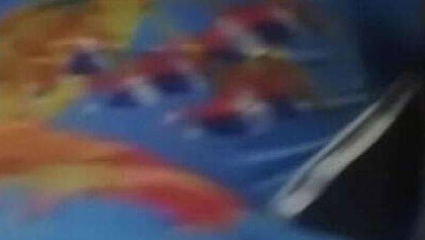 Hot ebony amateur rides big black cock - homemade sex - xxxfiles.com on freevids.org