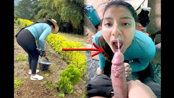 Young Farmer Woman Paid To Milk My Cock - Amateur Blowjob & Cumshot In Mouth - porntry.com - India - Colombia on freevids.org