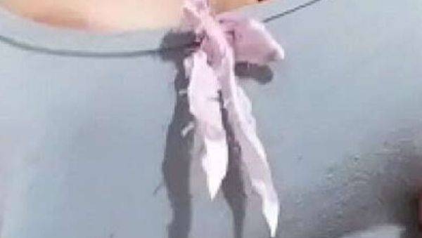 Kaith Saumeth Latina Solo - Huge Hairy Pussy Creams Thick Milk - xxxfiles.com on freevids.org