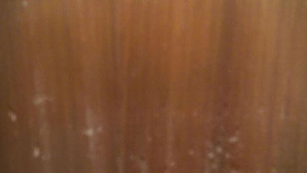 Souzan Halabi First Time Blowjob in Kitchen - Amateur Arab Teen Hijab Girl Dirty Talk Close Up 4K - xxxfiles.com - Britain - Turkey on freevids.org