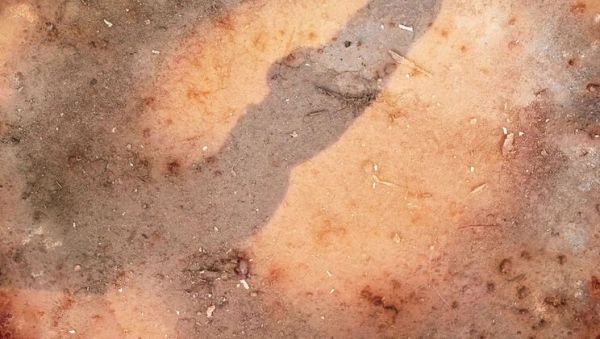 Wild Orgy with Magnificent Babes Lucy Belle & Rubi Diamond - Anal Gangbang DP - porntry.com on freevids.org