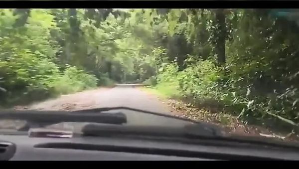 Bruxo Fire Bangs Latina in Forest Milk Bath - Outdoor Doggy Style & Blowjob - xxxfiles.com on freevids.org