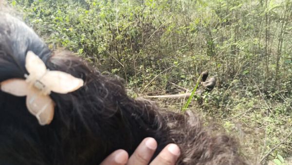 Step Brother Fucks Hot Indian Maid Laxi Ammu in Jungle Fantasy 4K - veryfreeporn.com - India on freevids.org