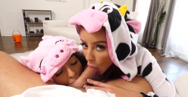 Asian temptresses tease with sloppy blowjobs and raunchy handjobs - alphaporno.com on freevids.org