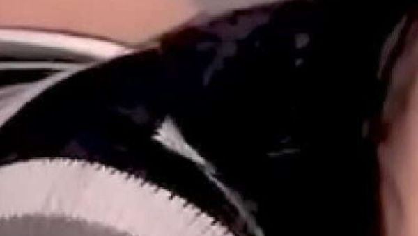 Nabe Girl Tapatia Bitch Fucked Hard Doggystyle By Nabe Boy - Latina Brunette Petite with Huge Ass Moaning - porntry.com - Mexico - Usa on freevids.org