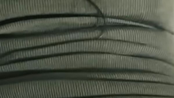 Roxy Martinez My Wife On All Fours Wants Another Cock - Latina Perfect Ass Curvy Body - veryfreeporn.com on freevids.org