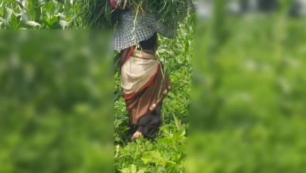 Desi Bhabhi Outdoor Fuck with Devar in Jungle - Sukunmi & Dewaif Public Sex - veryfreeporn.com - India on freevids.org