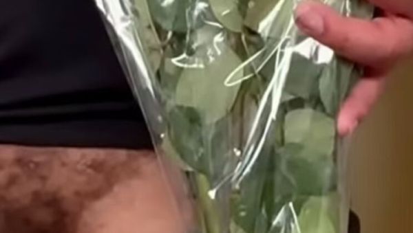 Big Cock Dilf Slow Tease - Deep Voice Romantic Confession For Her - veryfreeporn.com on freevids.org