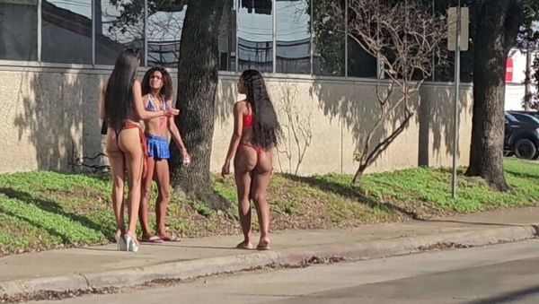 Petite Babe Rose Gives Blowjob & Doggystyle - Tight Pussy, Big Booty Riding - porntry.com on freevids.org