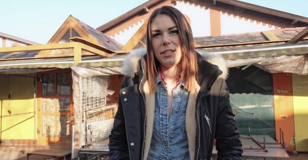 Czech casting girl Jessica Bell gets her trimmed pussy railed - alphaporno.com - Czech Republic on freevids.org