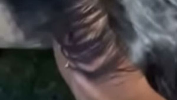 POV Blowjob with Keisha Minaj - Public Deep Throat on a Huge 11 Inch BBC - xxxfiles.com on freevids.org