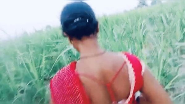 Hot Bhabhi Fucked in Village Field in Doggy Style - veryfreeporn.com - India on freevids.org